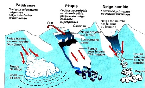 http://lancien.cowblog.fr/images/Sciences/avalanches.jpg
